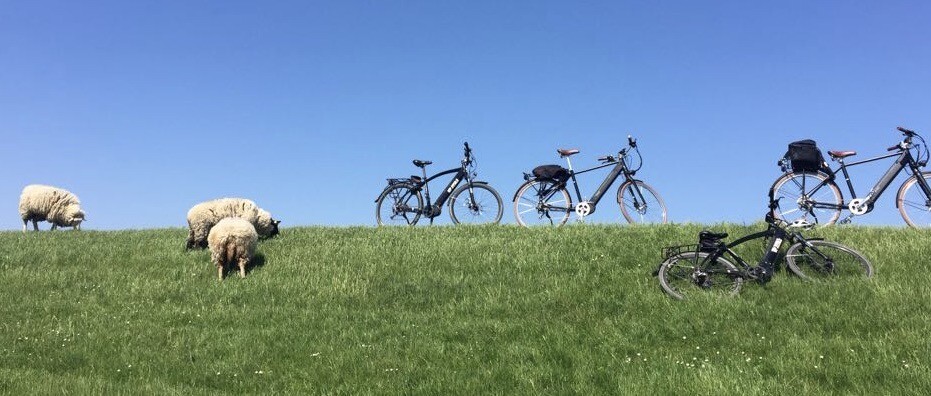 Radfahrer