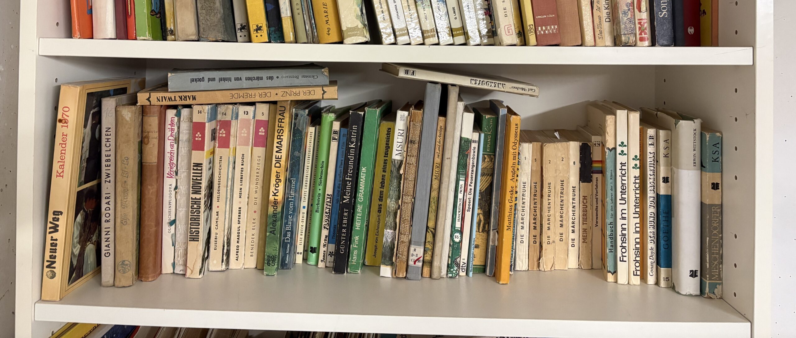 Bücherregal